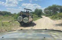 5-Day Tarangire, Serengeti 2Nights, Ngorongoro & Manyara Midrange