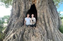 5-Day Tarangire, Serengeti 2Nights, Ngorongoro & Manyara Midrange