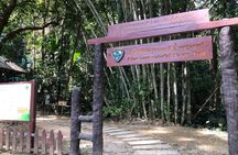 All stunning tour : Khun Korn waterfall-White Temple-Red Temple