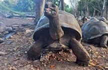Prison Island and Nakupenda Sandbank Tour with Lunch