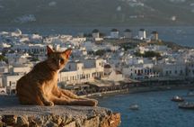 Private Mykonos The Town The Tide And The Tradition