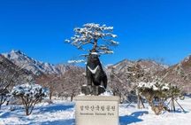 Seoraksan, Nami Island & Morning Calm Garden Day Tour from Seoul