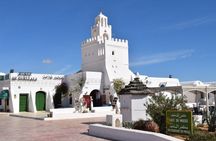 Full Day Guided Djerba Island Tour and Crocodile Park with Lunch