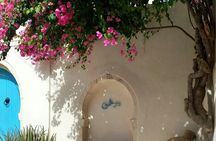 Full Day Guided Djerba Island Tour and Crocodile Park with Lunch