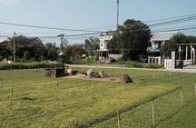 Hoi An Bike Tour: Insdier Route with E-car option( for family)