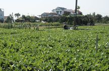 Hoi An Bike Tour: Insdier Route with E-car option( for family)