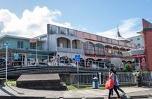 Coastal Tour in Nadi to Suva City