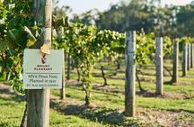 MV6 Pinot Noir Private Wine Tasting