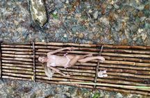 Rafting on the Martha Brae 