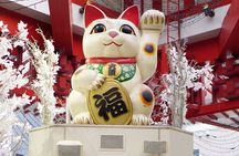 Historical Osu Street Food Walking Tour