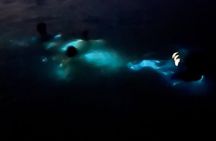 Luminous Lagoon Experience