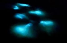 Luminous Lagoon Experience