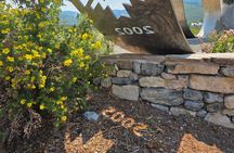 Guided Urban Art and Historical E-Bike Tour in Park City