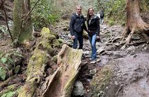 Samurai Guide Sho’s Mt. Takao Hike, Temple & Onsen from Shinjuku