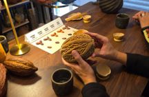 Small cocoa and chocolate tasting on CDMX with local talk