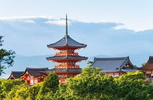 Best of Kyoto and Nara Highlights Day Tour from Osaka (7~9 spots)