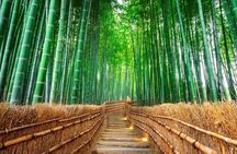 Best of Kyoto and Nara Highlights Day Tour from Osaka (7~9 spots)