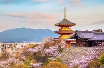 Best of Kyoto and Nara Highlights Day Tour from Osaka (7~9 spots)