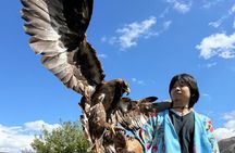 Ethno-Village Tour: Nomad culture, Horseback show and Lunch