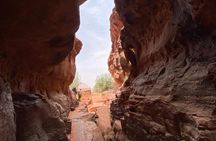 4 Hour Jeep Tour Morning or Sunset Wadi Rum Desert Highlights