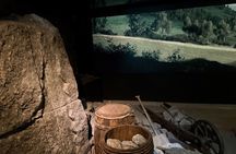 Guided tour of Wawel Castle, Cathedral and St. Mary's Basilica
