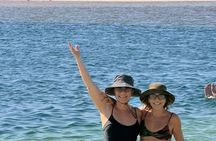 Tour of Cejar Lagoon and Eyes of the Salt Lake and Tebinquiche Lagoon