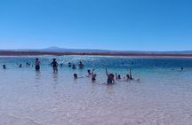 Tour of Cejar Lagoon and Eyes of the Salt Lake and Tebinquiche Lagoon