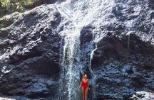 Private 4WD Rainforest Adventure in Booloumba Falls / Creek