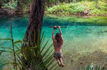 Private 4WD Rainforest Adventure in Booloumba Falls / Creek