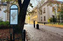 Krakow: Private Royal Route & Wawel Hill Tour