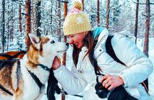 Rovaniemi Reindeer and Husky Ride with Transfers