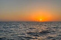 Sunset Cruise with Etihad Tower Views and Beach Walk