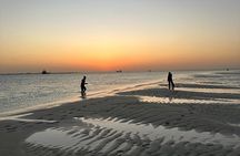 Sunset Cruise with Etihad Tower Views and Beach Walk