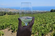 Etna Tour Silvestri Craters Tasting 4 Wines Lunch in the Cellar