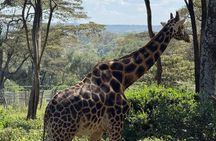 Nairobi Full Day Signature Experience