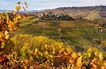 From Milan: Barolo Vineyards & UNESCO Wine Cathedral Experience