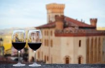From Milan: Barolo Vineyards & UNESCO Wine Cathedral Experience