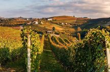 From Milan: Barolo Vineyards & UNESCO Wine Cathedral Experience