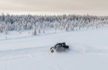 Lapland Discovery Experience Private Tour 