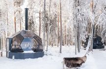 Lapland Discovery Experience Private Tour 
