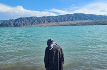 Almaty Jeep Private Full Day Tour to Charyn Canyon and Bartogay