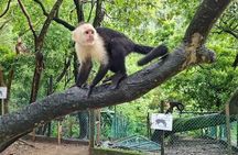  island tour ,sloths and monkey sanctuary + west bay beach break