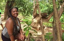  island tour ,sloths and monkey sanctuary + west bay beach break