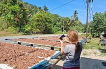 Explore The Hidden Gem of Penang at Balik Pulau