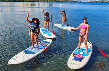 Paddleboard Adventure: Explore Marine Life in Condado Lagoon