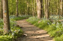 Guided Seasonal Hike