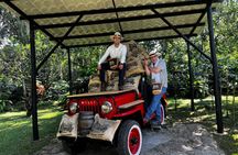 Coffee Farm Experience Day Tour