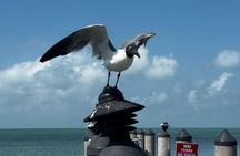 Private Key West Day Trip with 4 Scenic Stops