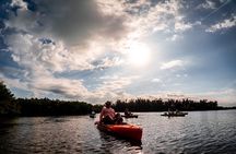 Kickin’ Kayaks Morning Wildlife Tour