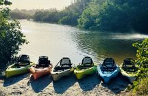 Kickin’ Kayaks Morning Wildlife Tour